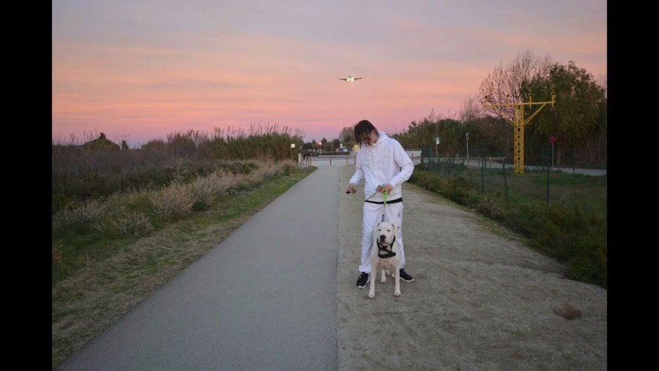 Кизару лысый 2020