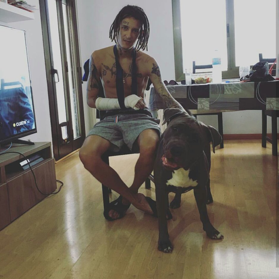 Собака кизару порода