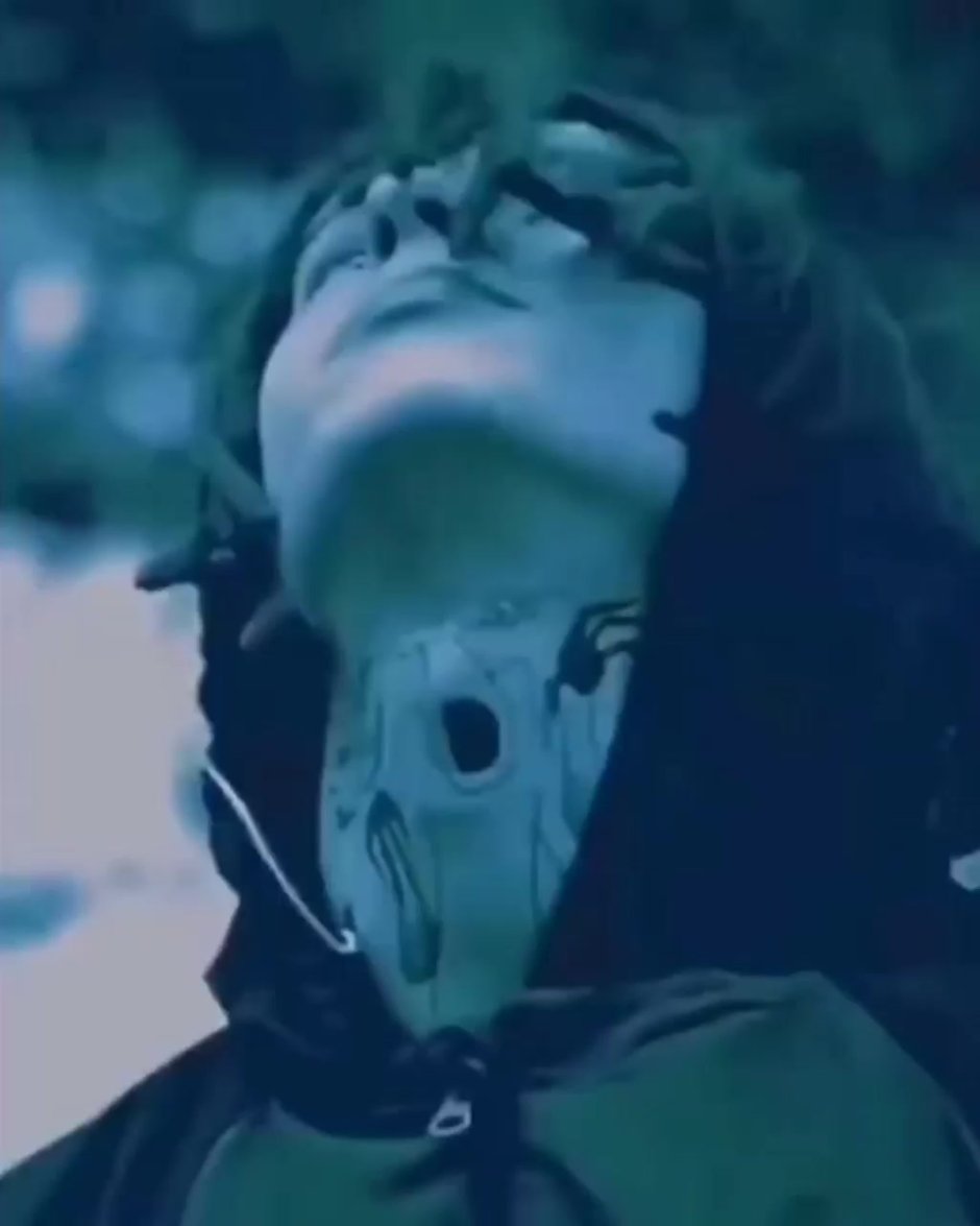 Собака KIZARU порода