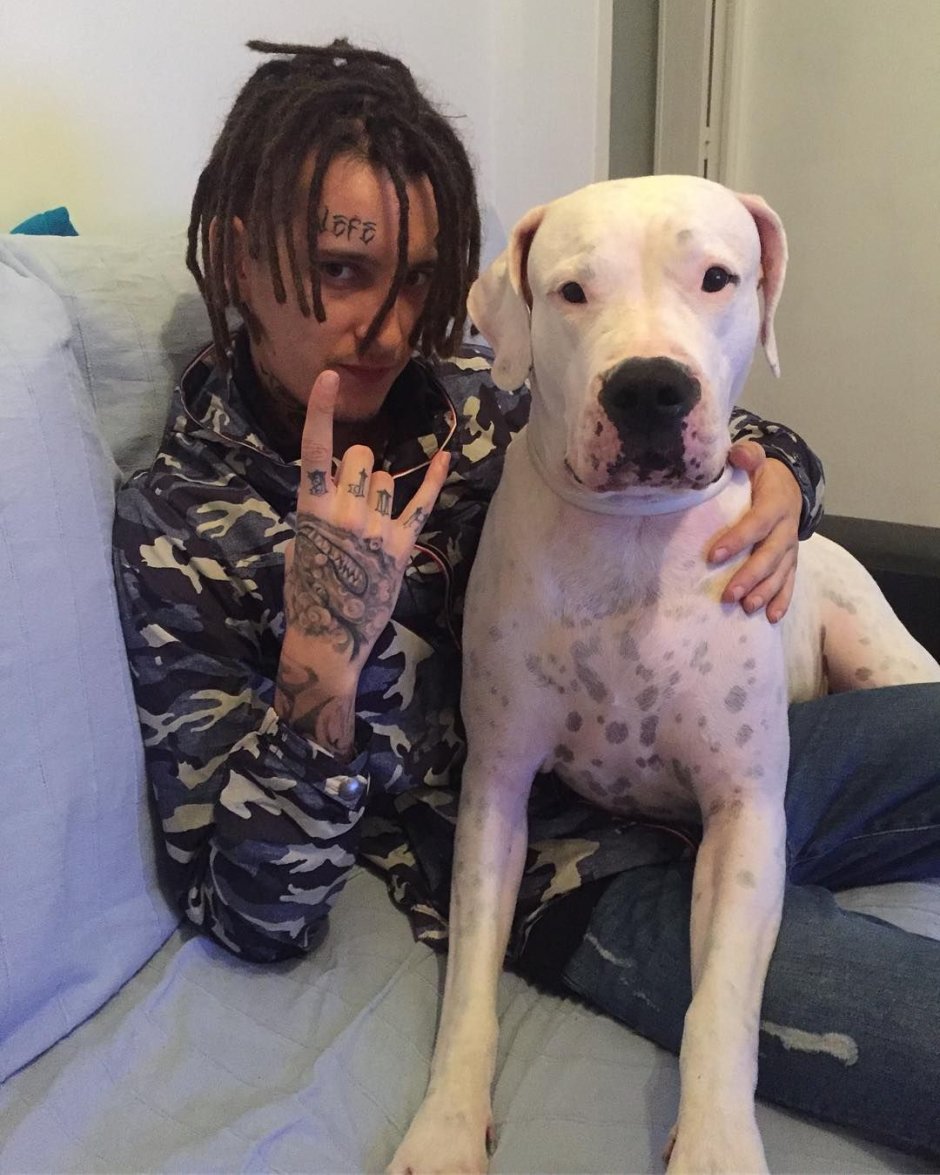 Кизару Олег Нечипоренко