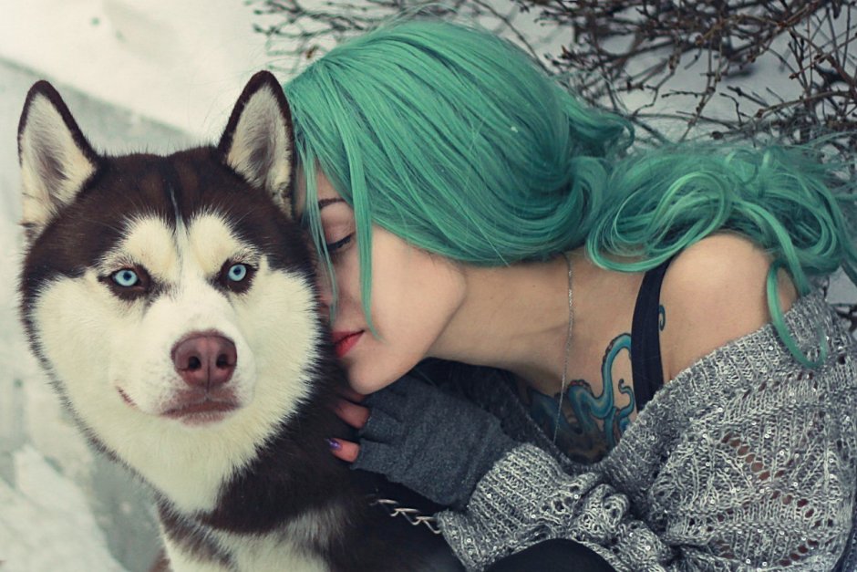 Зрачок волка