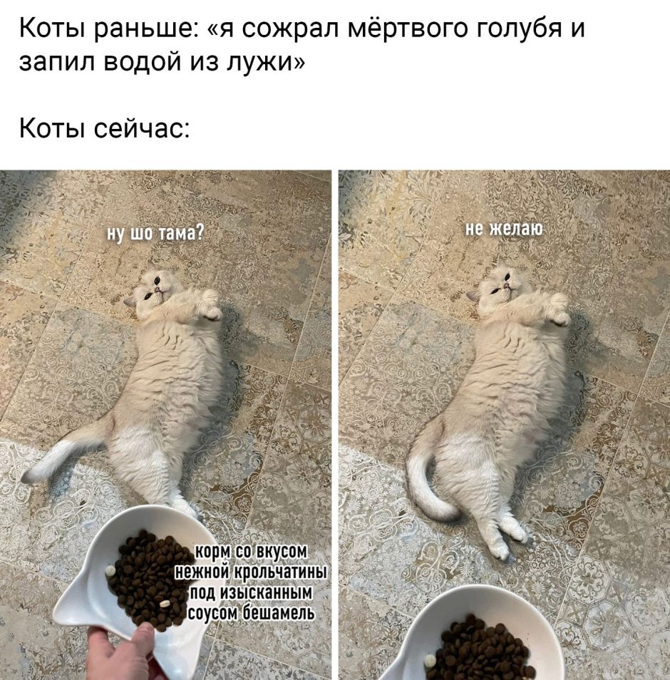 Смешные картинки