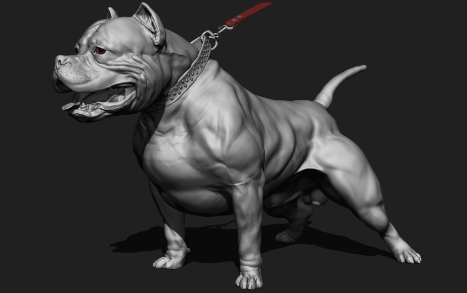 Американский булли оскал