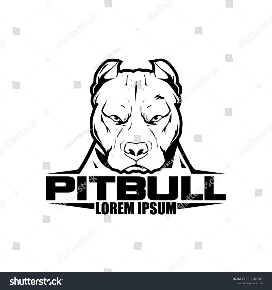 Надпись питбуль