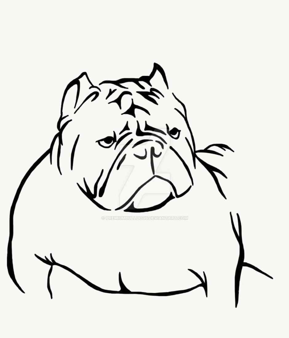 Белый булли