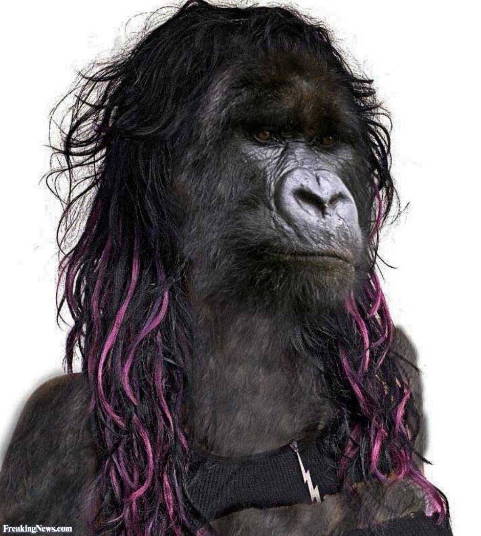 Обезьяна лысый уакари