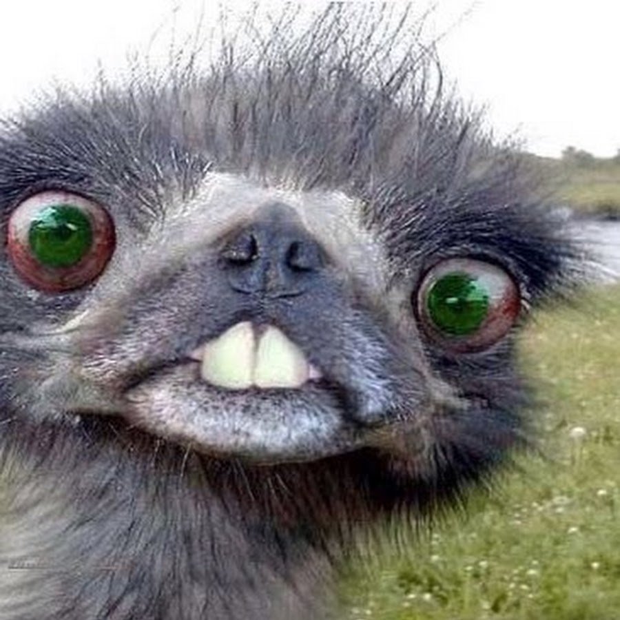 Упоротый олень