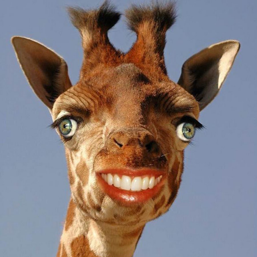 Страшный Жираф
