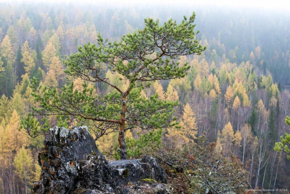 Приполярный Урал Манарага