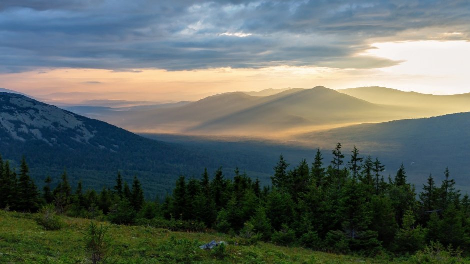 Дикие животные Южного Урала