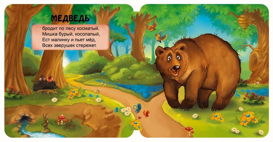 Кантабрийский бурый медведь
