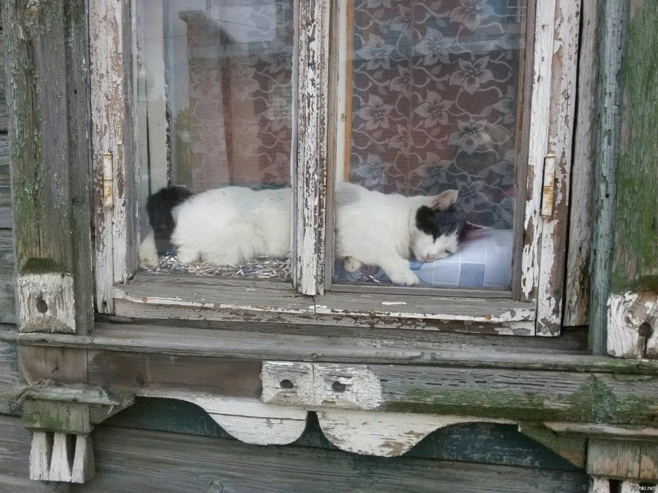 Окно в деревне