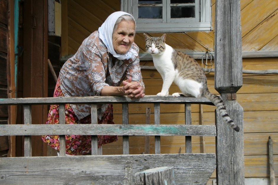 Кошка в деревне