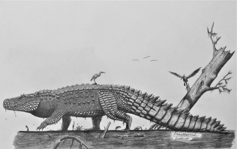 Бистарс крокодил