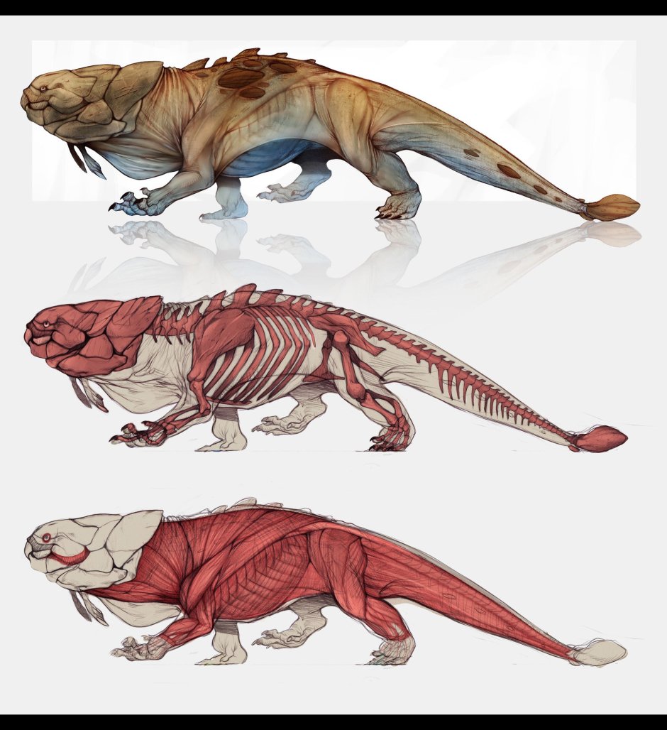 Тасманийский тигр