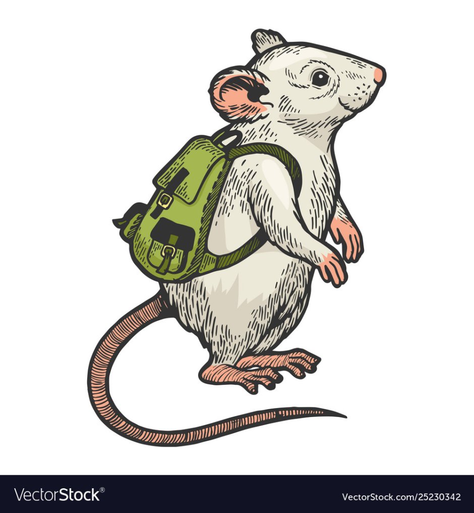 Сумчатые Смилодон