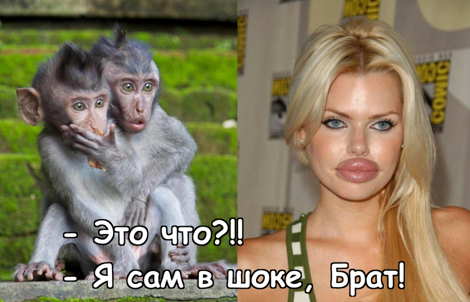Поцелуй обезьяны