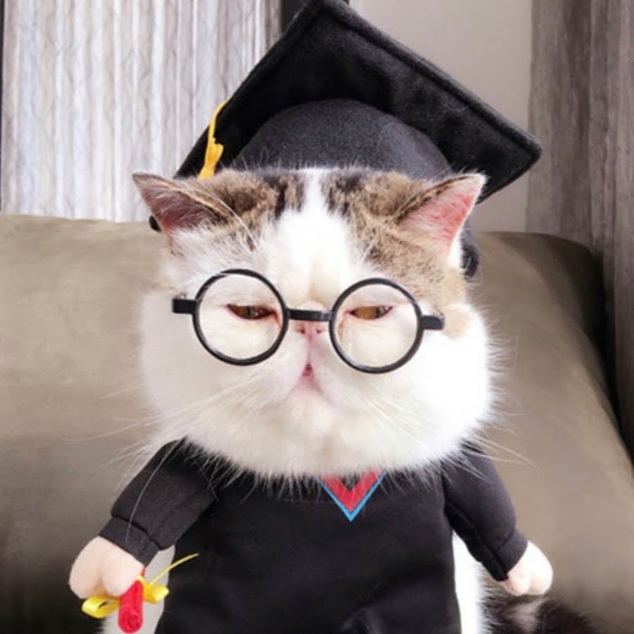 Коты и интернет