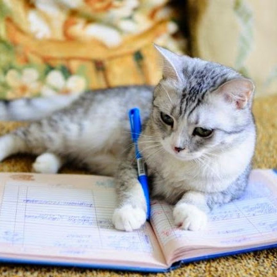 Книги про кошек