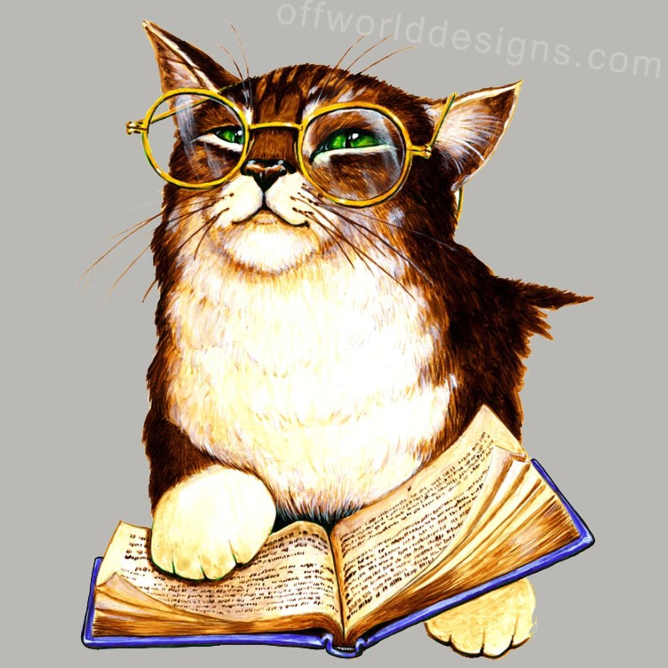 Кот ученый