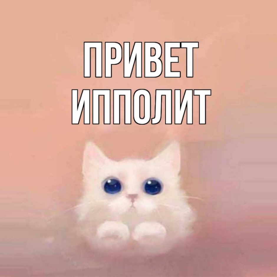 Объявления про котят