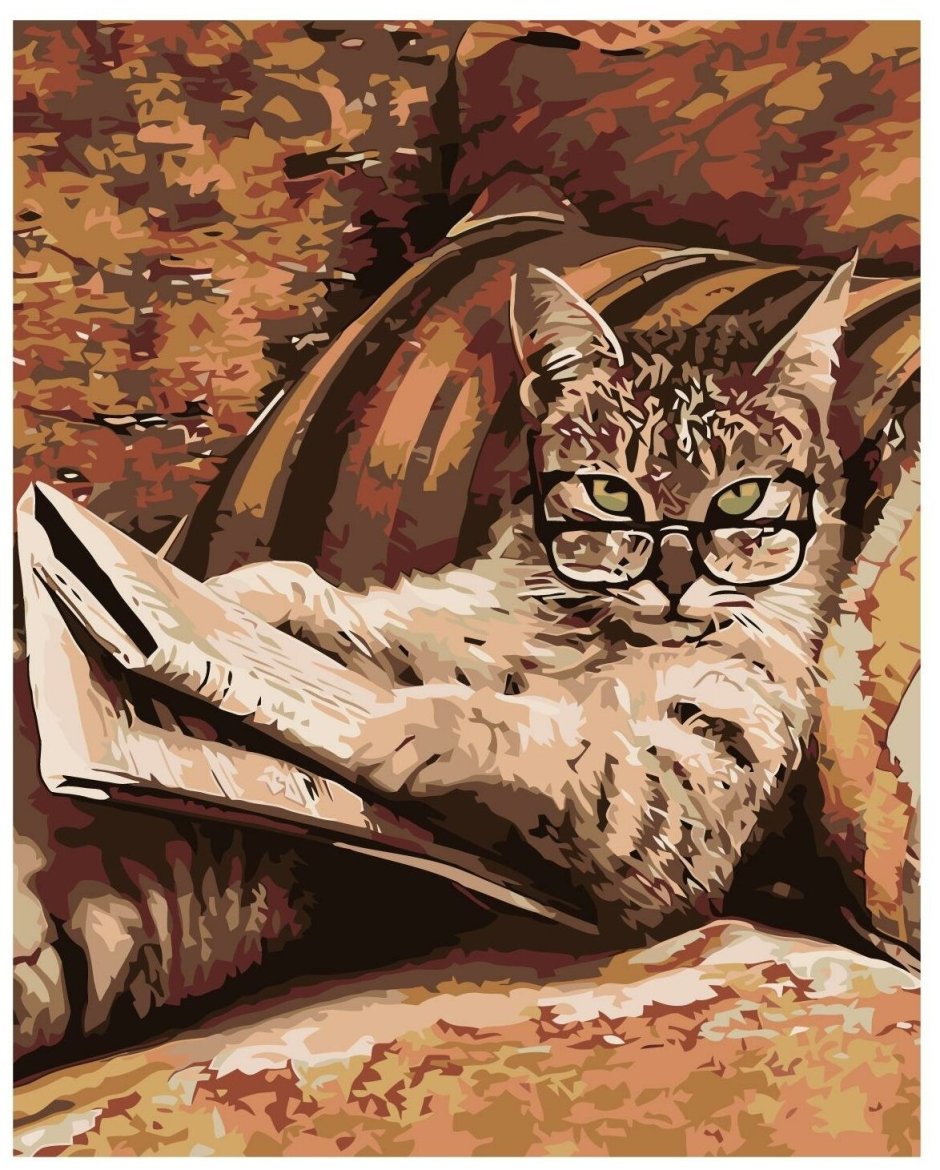 Котики и интернет