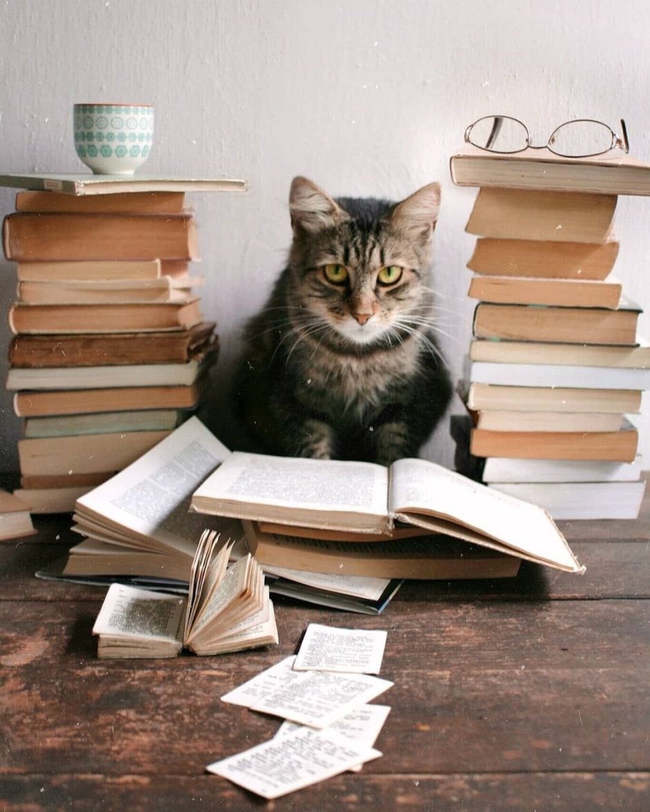 Кошечка с телефоном