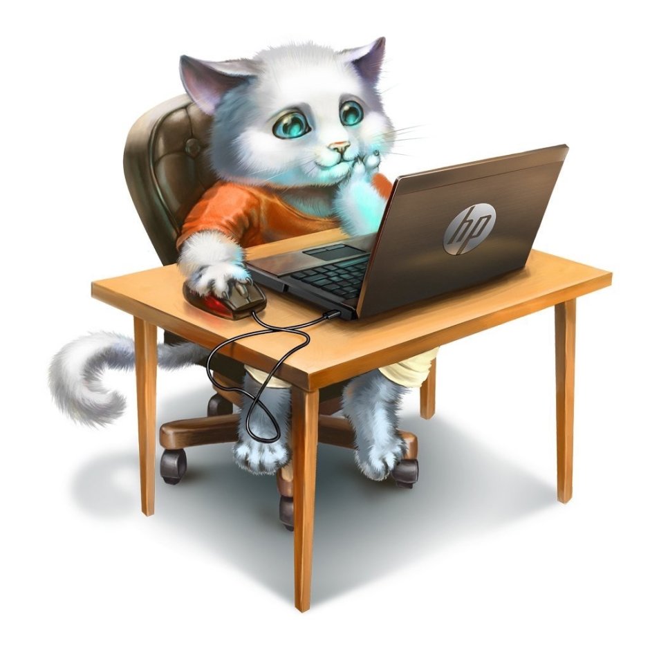 Кот с книгой