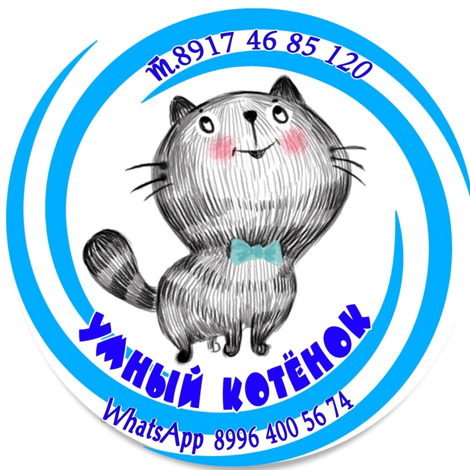 Книга котик