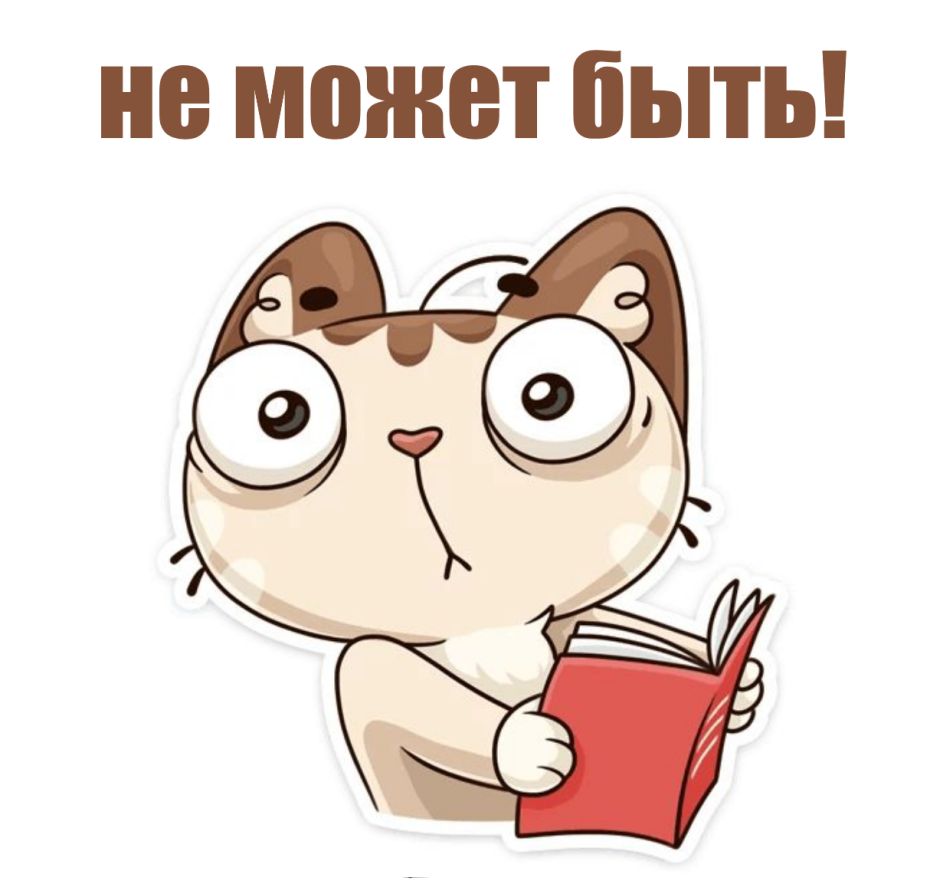 Кот в очках