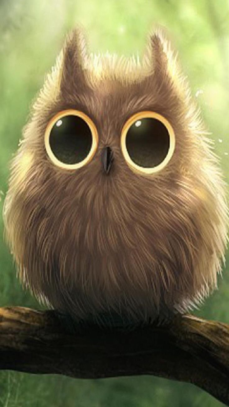 Няшные Совы