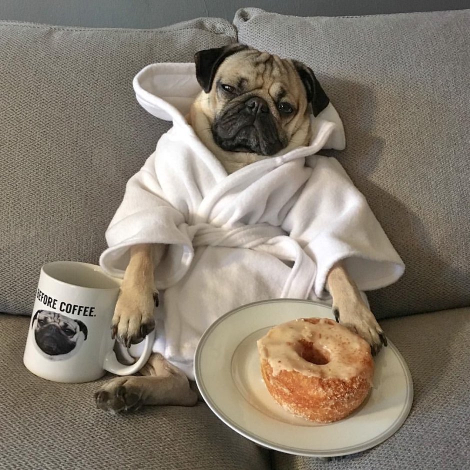 Доброе утро прикол