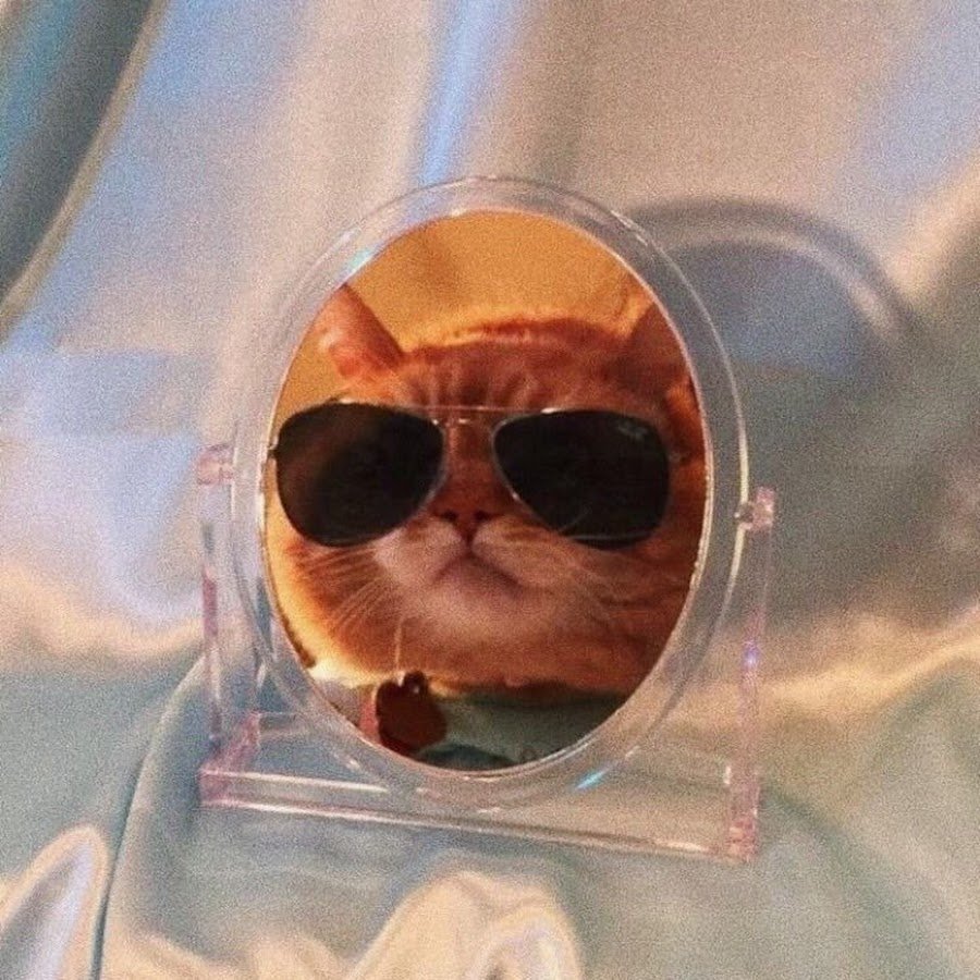 Итальянская кошка