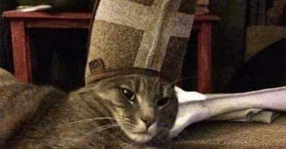 Кот папа Римский