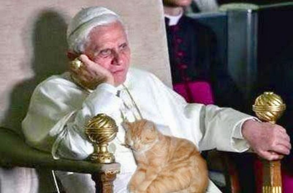 Папа Бенедикт и кот