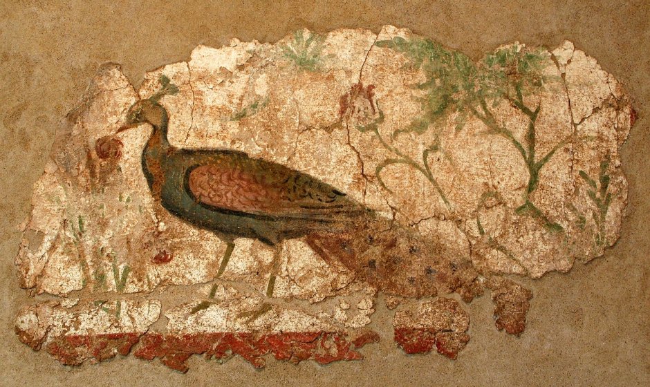 Кошка в мультяшном стиле