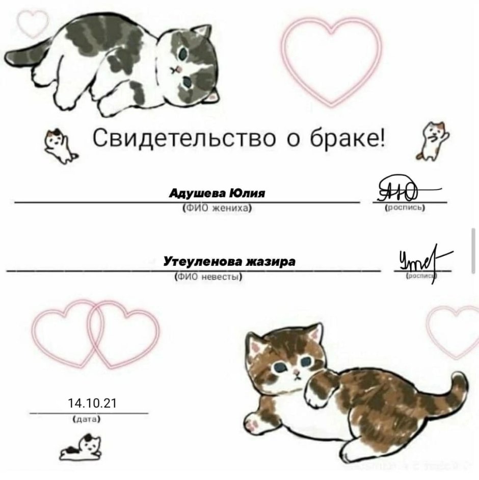 Мелинда Купер кошки