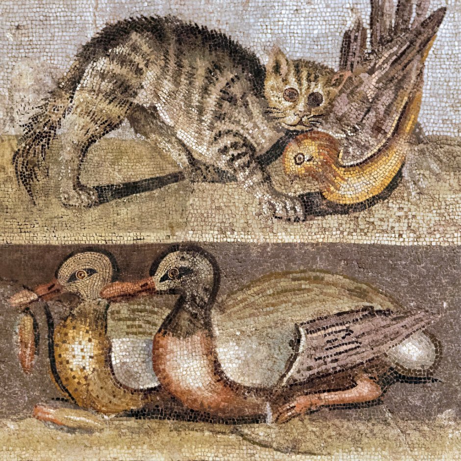 Милые котики Эстетика