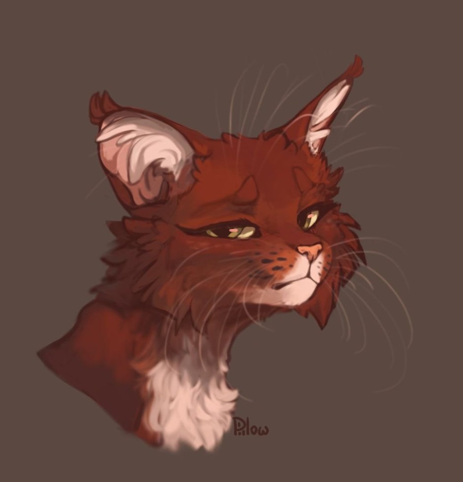 Прикольная Эстетика