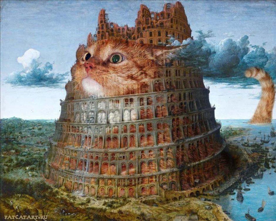 Кошка в Италии Колизей