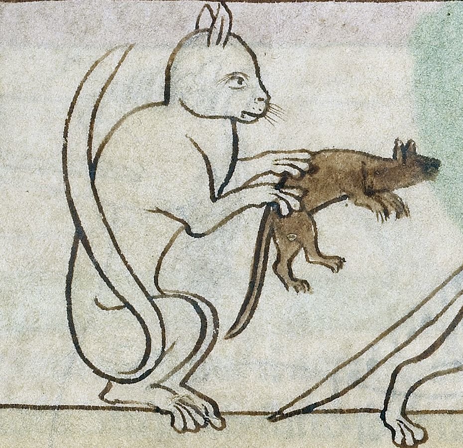 Средневековая живопись книжная миниатюра Бестиарий