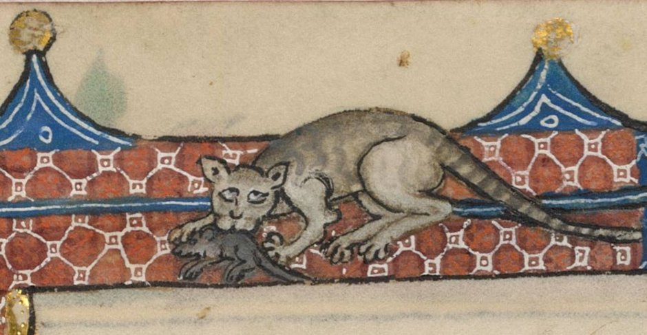 Кошки Рембрандта