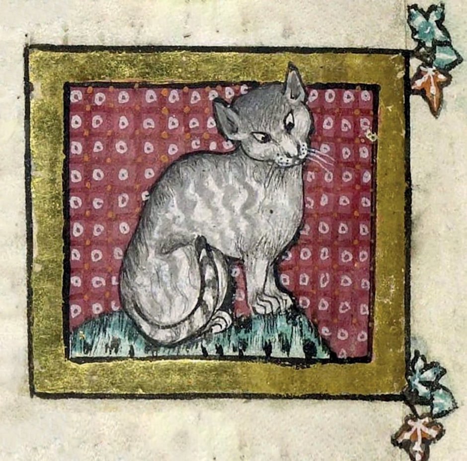 Средневековый Бестиарий Гравюры кошки