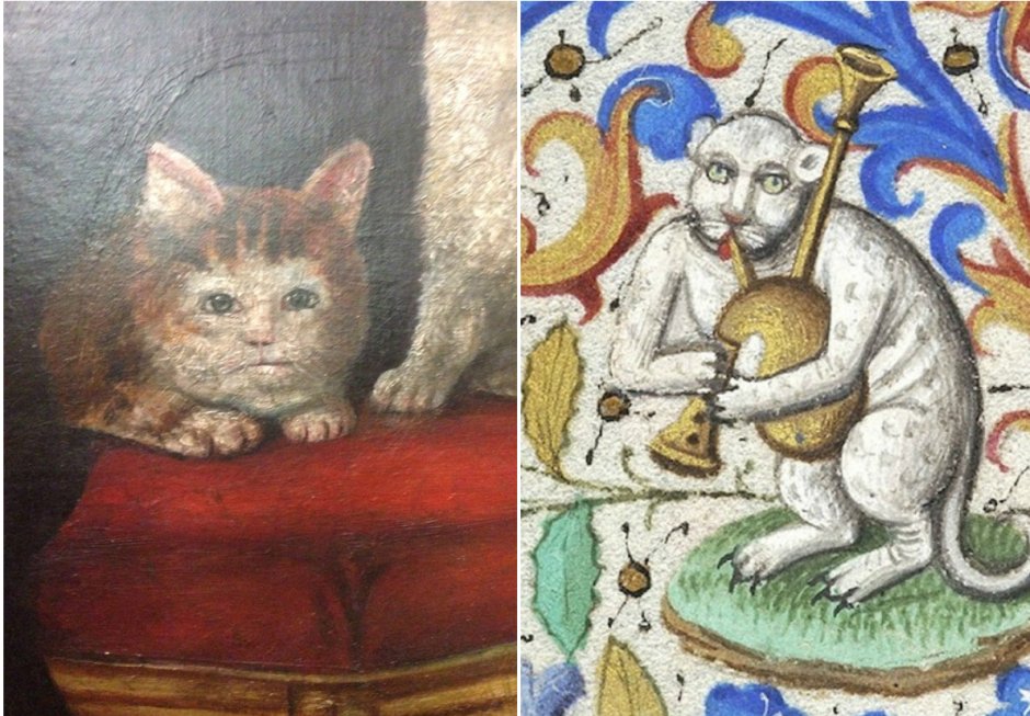 Страдающее средневековье кот