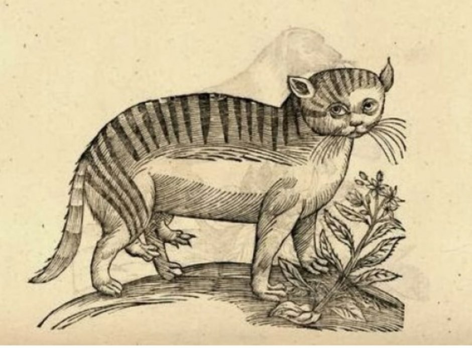 Кошки на средневековых картинах