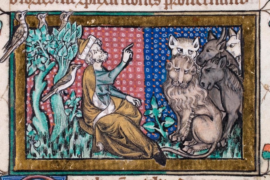 Средневековая гравюра кот