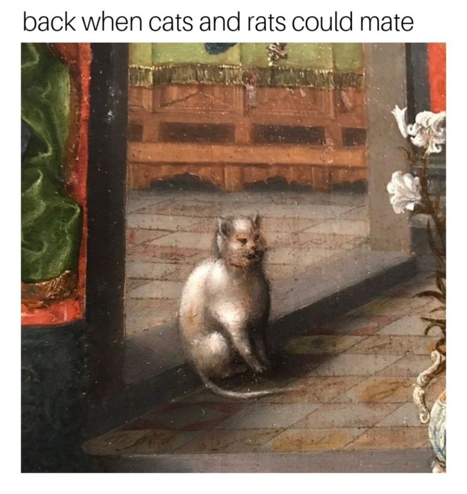 Страдающее средневековье коты