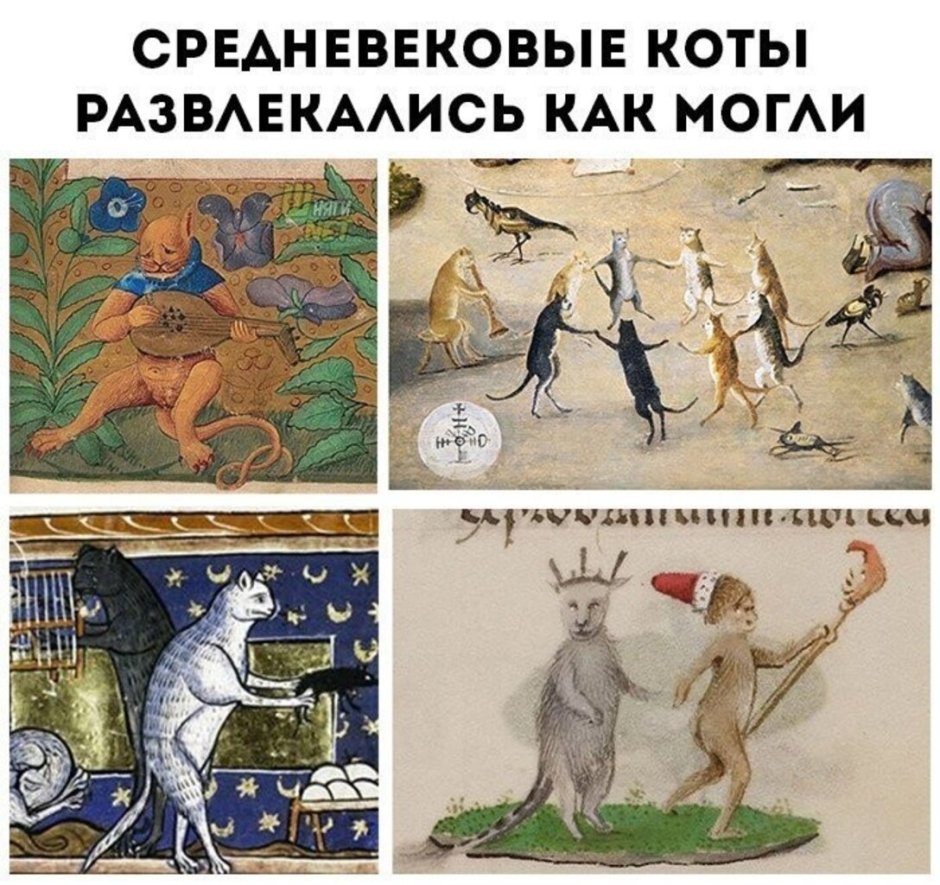 Кошки в средневековье