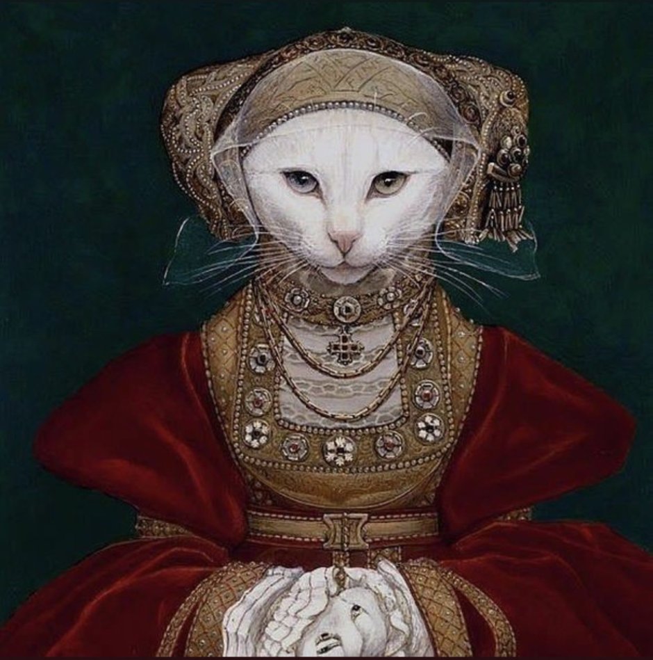 Коты в рыцарских доспехах