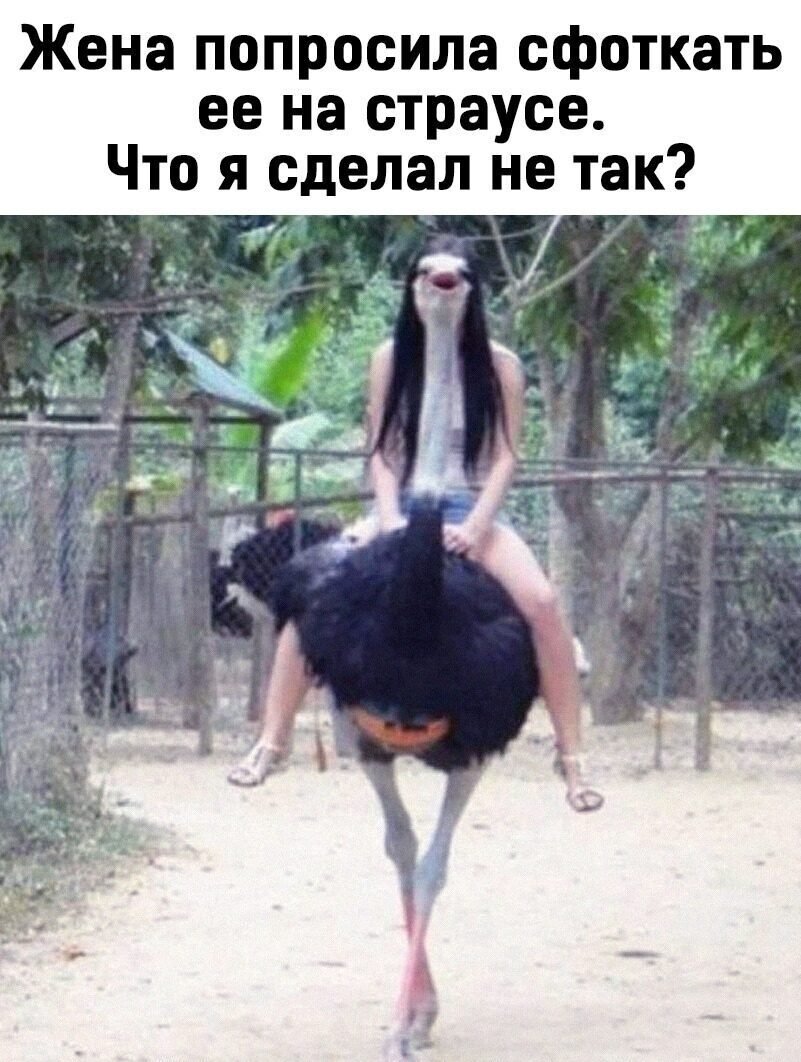 Анекдот про страусов